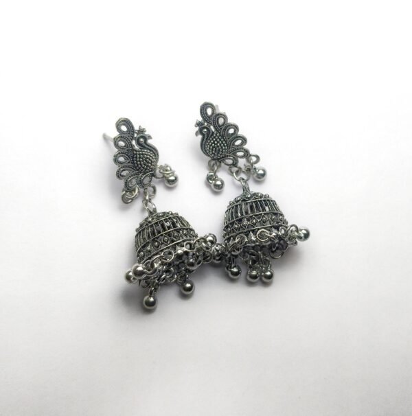 Affordable Women’s Accessory Gift Box with Earrings & More - Image 4