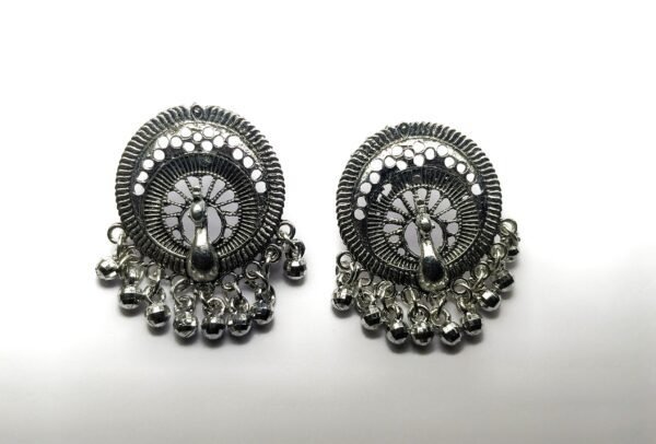 Affordable Women’s Accessory Gift Box with Earrings & More - Image 3